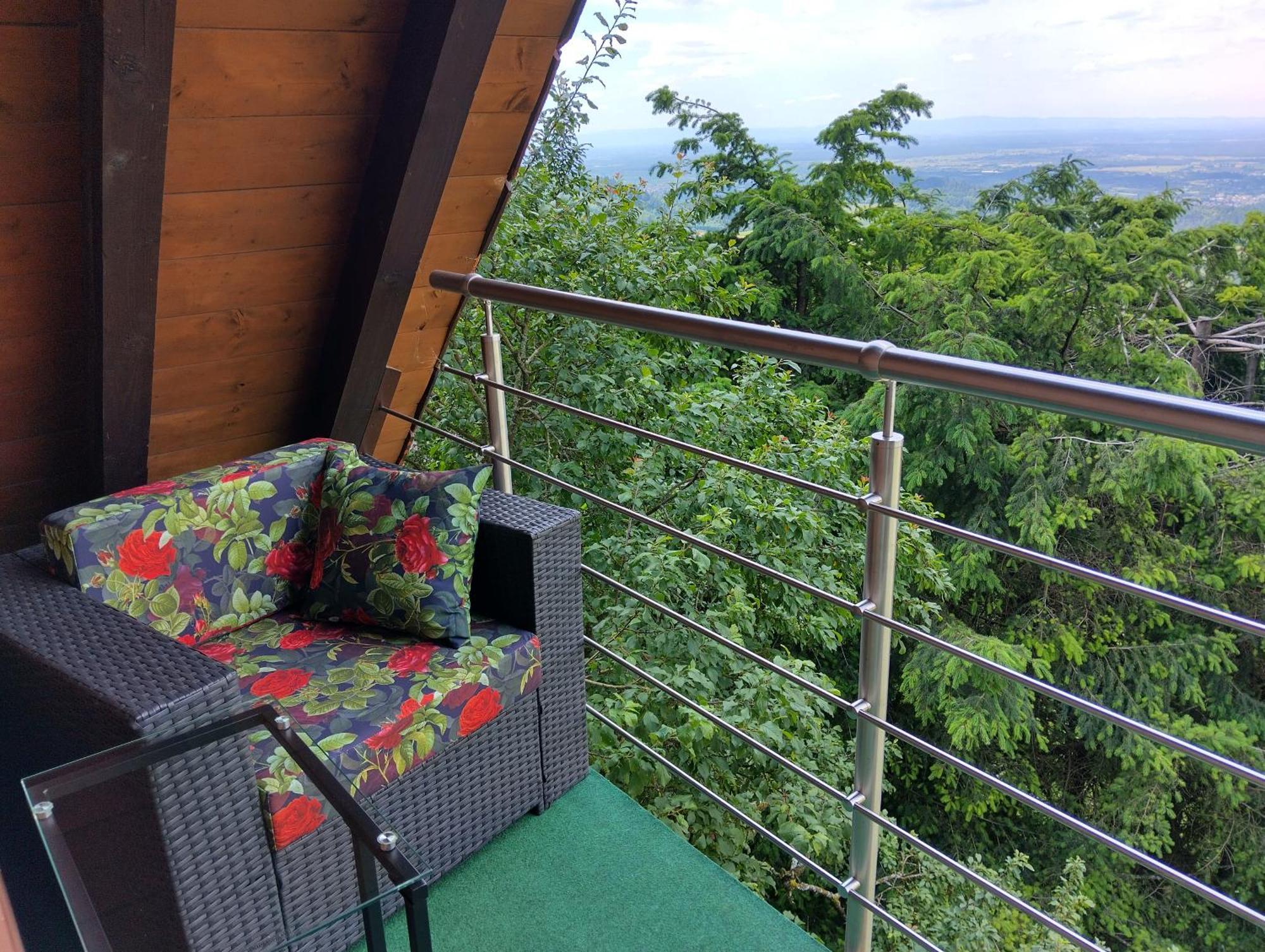 Appartement Haus "Guck - Ins - Tal" à Sasbachwalden Extérieur photo