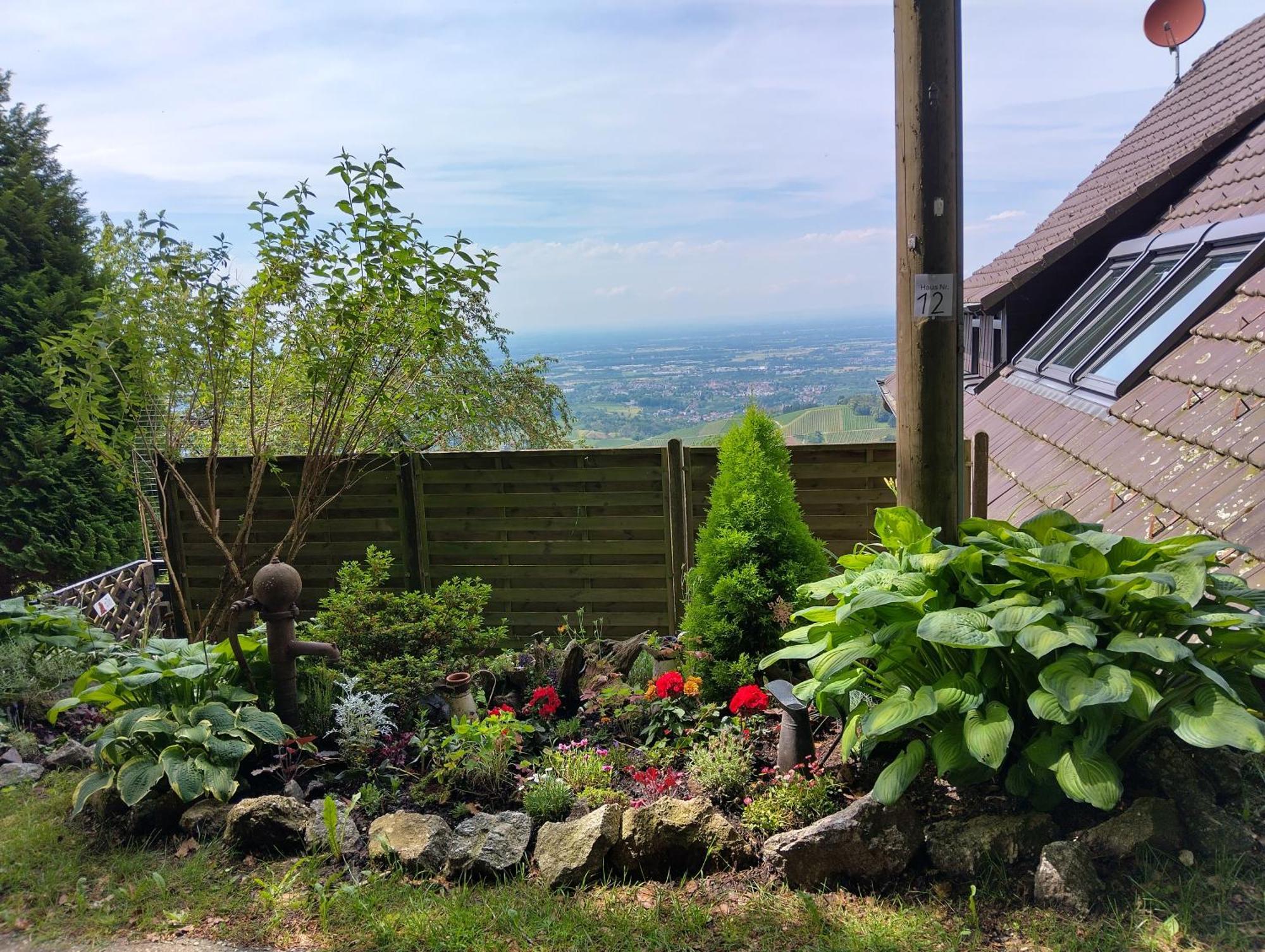 Appartement Haus "Guck - Ins - Tal" à Sasbachwalden Extérieur photo