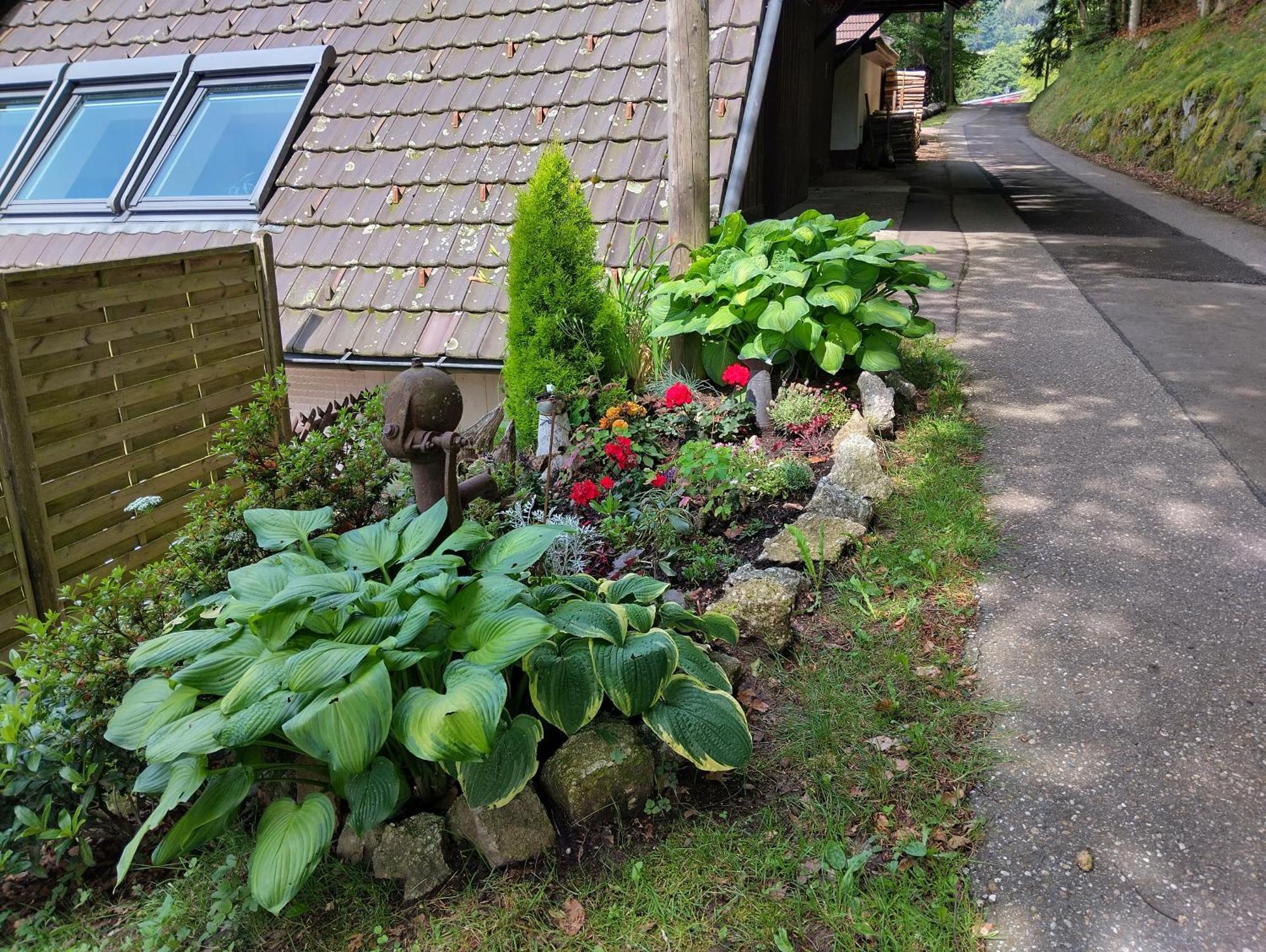 Appartement Haus "Guck - Ins - Tal" à Sasbachwalden Extérieur photo