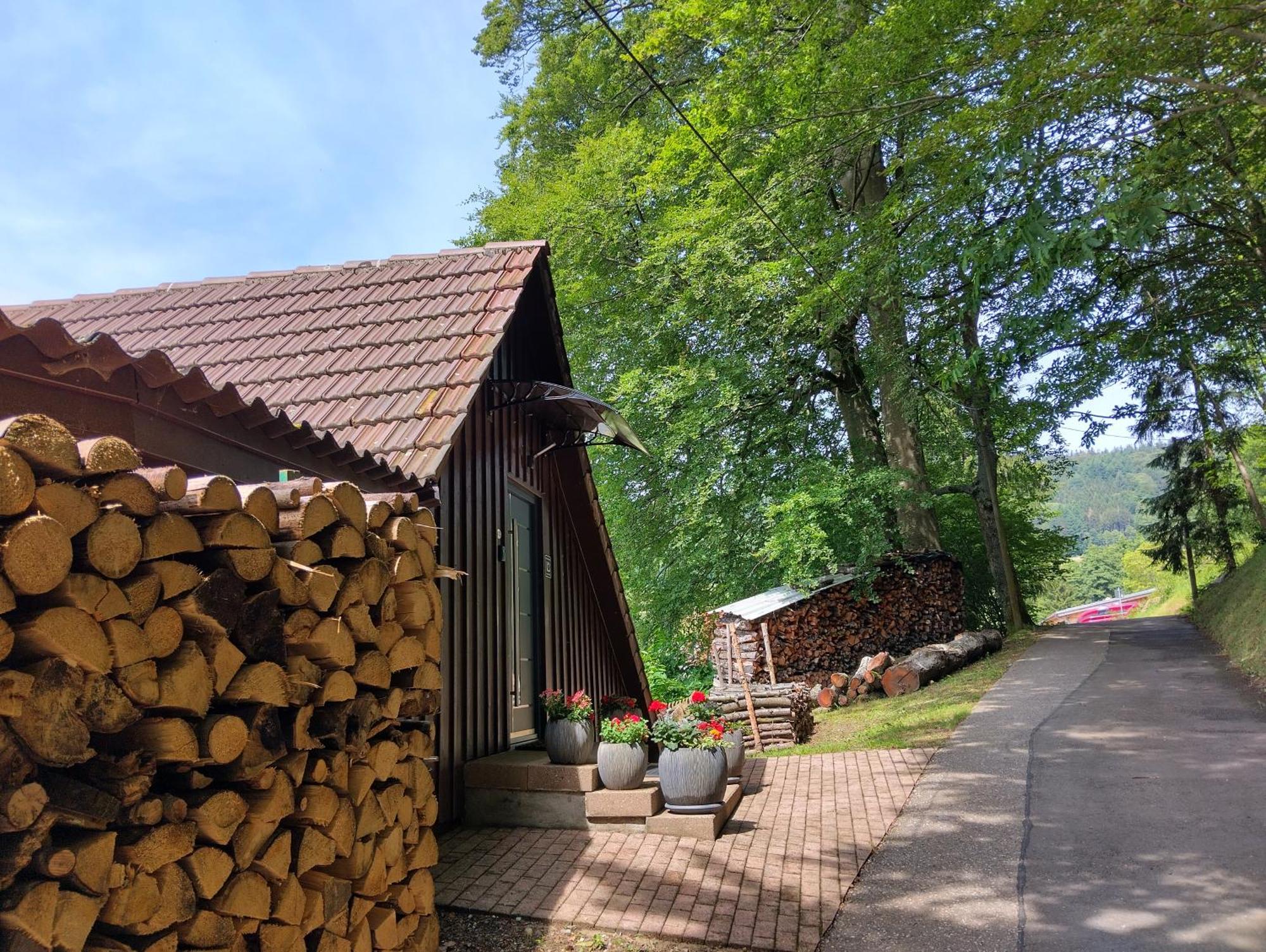 Appartement Haus "Guck - Ins - Tal" à Sasbachwalden Extérieur photo