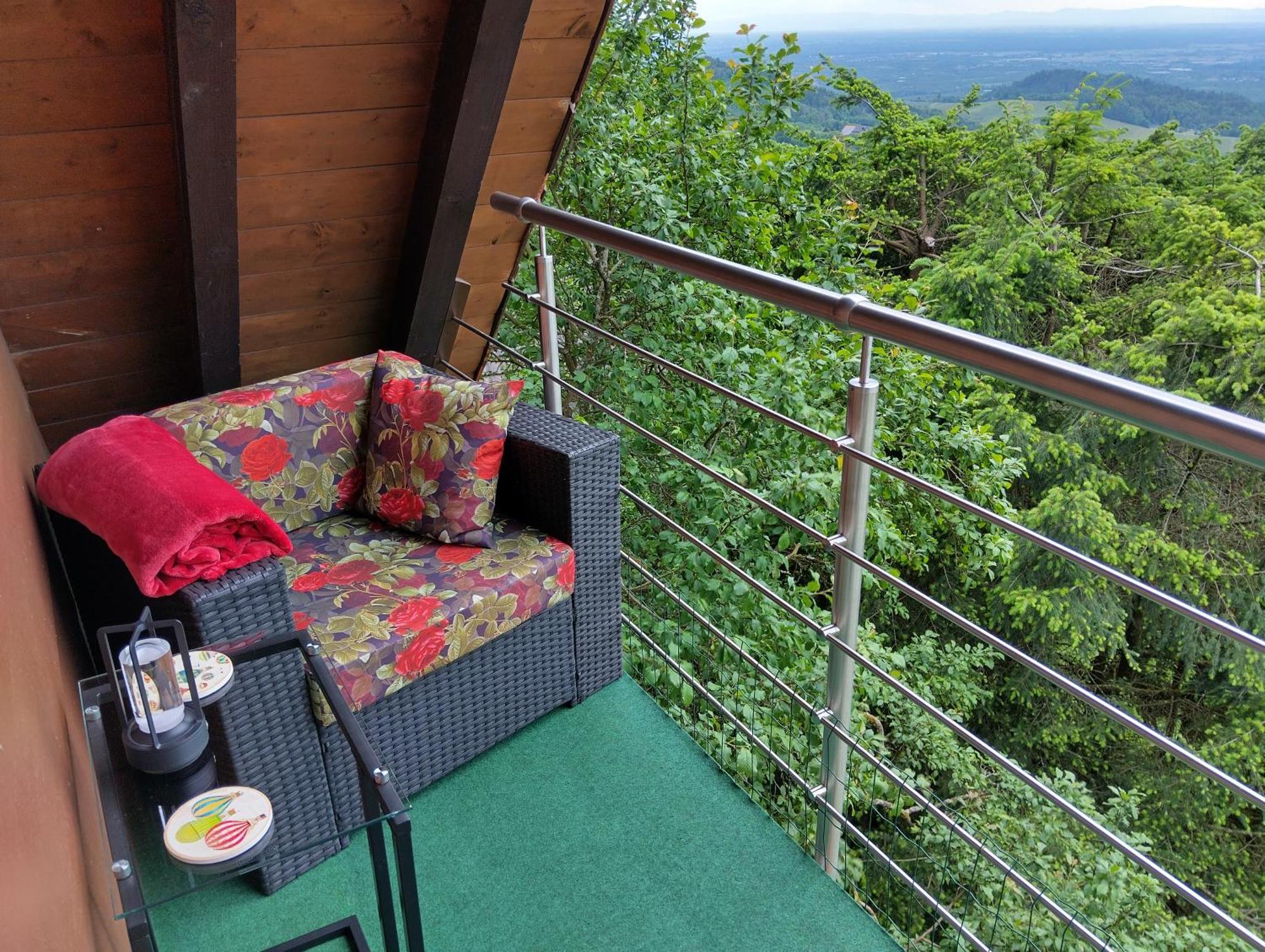 Appartement Haus "Guck - Ins - Tal" à Sasbachwalden Extérieur photo